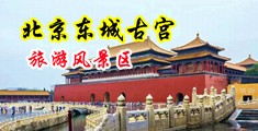 操人妻逼视频中国北京-东城古宫旅游风景区