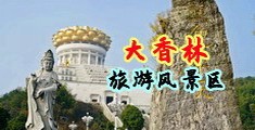 大鸡巴插逼日本女优中国浙江-绍兴大香林旅游风景区